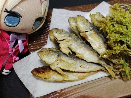 むっちゃん、揚物するの上手になった？豆アジの唐揚げ骨までサクサクじゃん！意外なのはセイタカアワダチソウの天ぷらがシュンギク感あって美味しい！マジでヤバイ！むっちゃんは晩酌始めました←