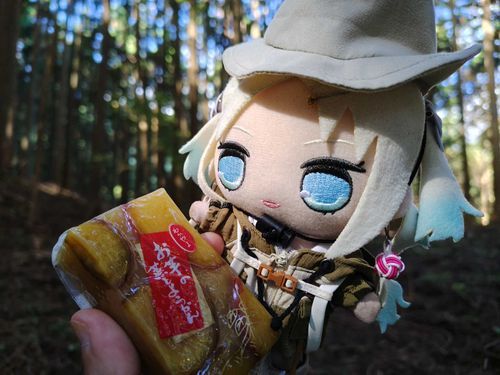 お芋の羊羹で一休み！かぶりつくのって違った美味しさがあるよね！
#ぬい旅　#大沢瑠璃乃