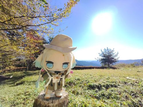長尾平展望台にとうちゃーく！
#ぬい旅　#大沢瑠璃乃