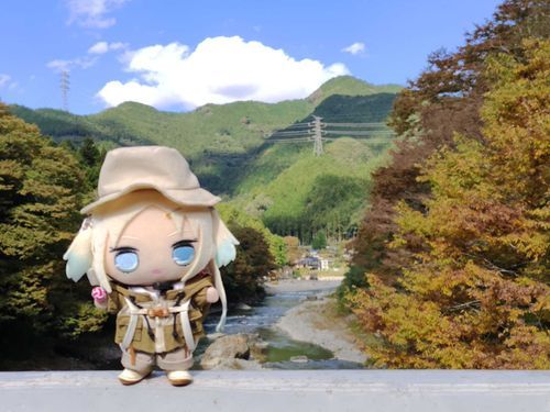 下山して御岳渓谷の吊橋まで来たよ！黄色くなってる！
#ぬい旅　#大沢瑠璃乃