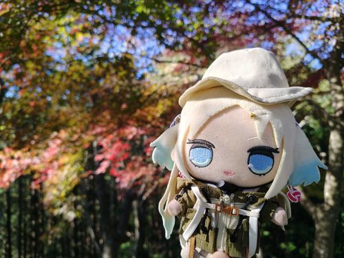 モミジが紅くなってたよ！
#ぬい旅　#大沢瑠璃乃
