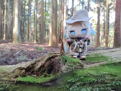 山の中の苔っていいよね！
#ぬい旅　#大沢瑠璃乃