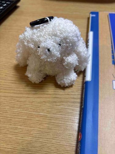 一緒にいてくれる、君が好き