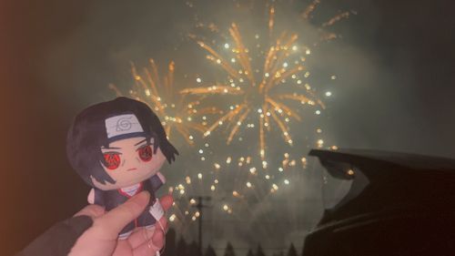 イタチと花火❕