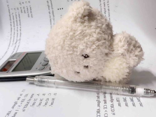 書ききれない…