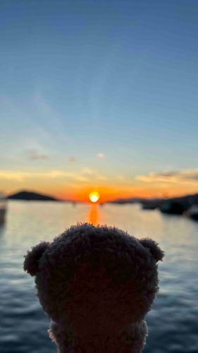 日没🌅