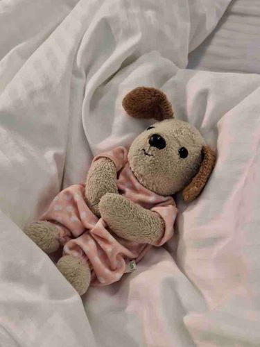 🐶 Sweet dreams！お休みなさい！😴