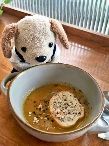 🐶 pumpkin soup 🥣