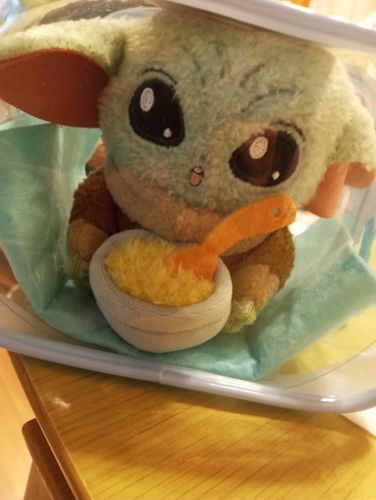 なかなか箱から出してもらえなくって不安でしたが　ぐーはお誕生日のプレゼントだったんだそうです。