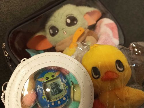 💚🛸ポポワ‼️☺️✨(ダダ、グーは楽しい夏休みをすごしています☺️✨)