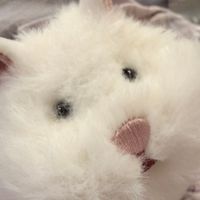 もつ と バンドマン