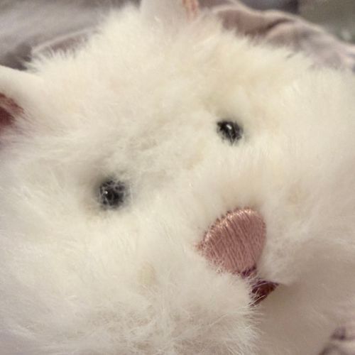 もつです
もつとの生活を投稿していこうと思います
よろしくおねがいします