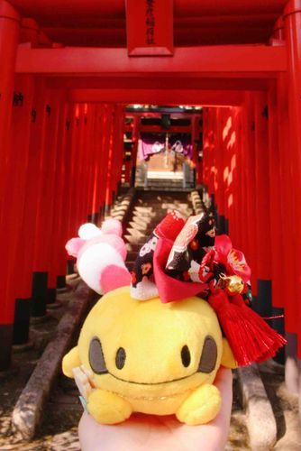 豊彦神社！
元々は個人所有の神社だったよ⛩