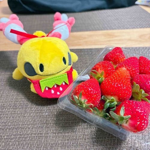 🍓おいしいね〜🍓