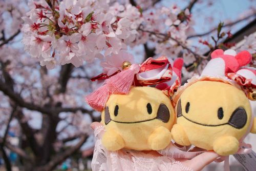 桜に触っちゃダメだよ！木にも乗っちゃダメ！
はい、トレーナーもっと上に持ち上げて！