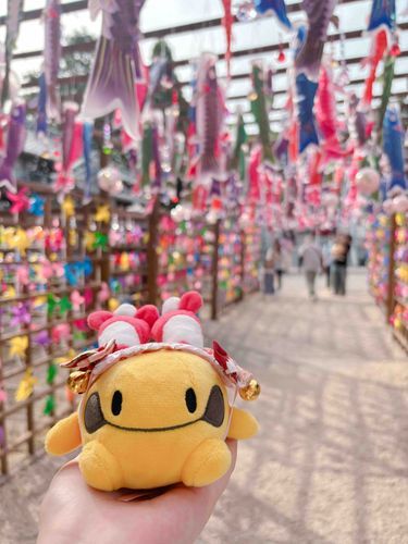 金井神社⛩
キラキラしてた✨