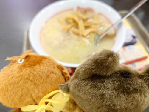 🦉これがスガキヤ……
🦊そ、俺の地元では普通にあるし美味しいよ
🦉そうなんだ、初めて食べるな…
🦊🍊ちゃんもこれ好きだよね
🦉そうなんですか？
