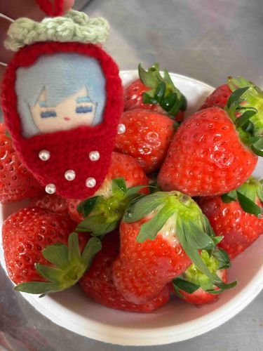 いちごもらったよ
いちごに擬態するちみにゃりさん