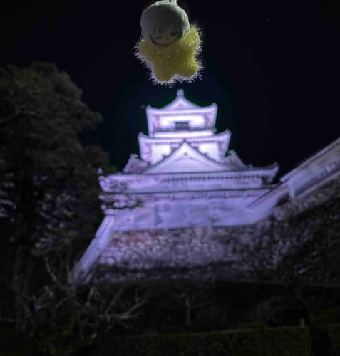 見⭐︎参