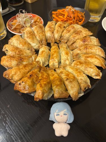 ちみにゃりさんが円盤餃子にアブダクションされちゃいそう❗️とっても美味しかったね