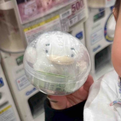 ようこそ👶🏻‪‪🪿