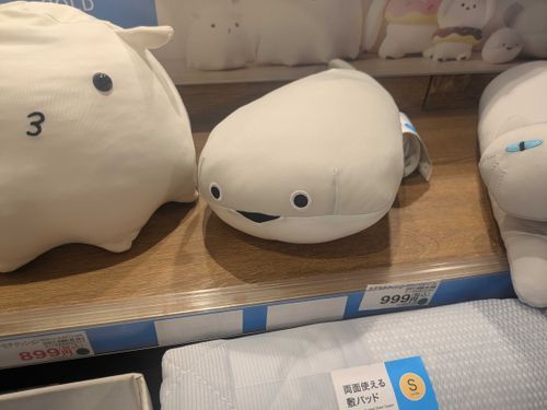 嘘だろ…
