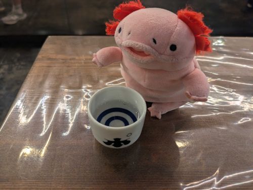 効き酒しに来た