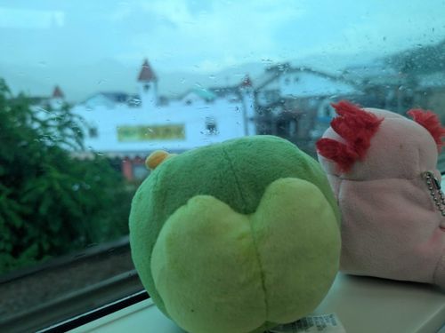 雨降ってるね