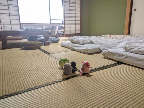 宿ひろ〜い！！