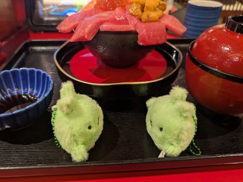 どっちがどの具を食べるか相談してる