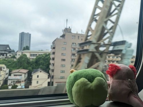 実家に顔出しに行く