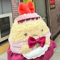 お嬢さん🍤