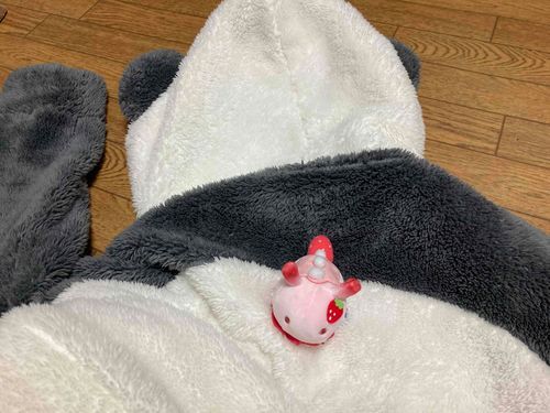 おれです。ぱんだに勝った。ぶい。