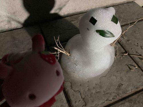 おれです。ゆき降ってるときすごくいそがしくて余裕なかったんだけど、おうちのひとのおかげでちょっと楽しめた。はっぴー。