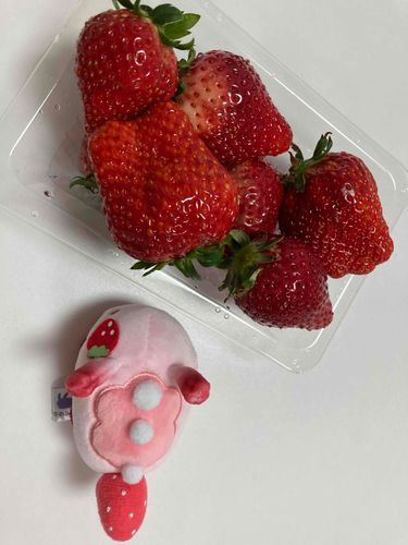 いちご！？