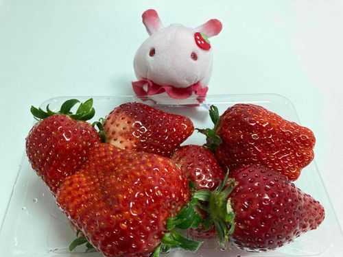 おれです。ぜんぶのいちごを得たおれです。やったぜ……。