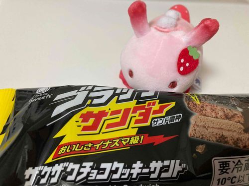 おれです。限定ものに目がないので、つい。ざくざくで美味しかった。