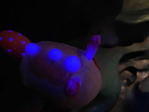 深海で発光みうしになったおれです。