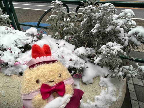 この辺りでは珍しく雪がすごかったですね、お嬢さん。もしかしてお初ですか？
