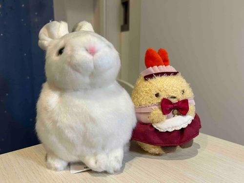 うさぎさんですよ、お嬢さん。実は中にオルゴールが入ってるんです。🍒
