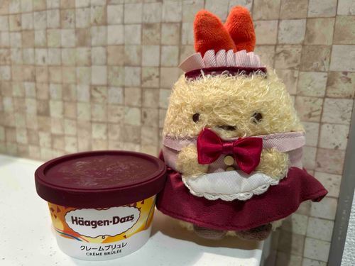 ず〜っと気になってたハーゲンダッツのクリームブリュレ味ですよお嬢さん！！！再現度高くて美味しかったです