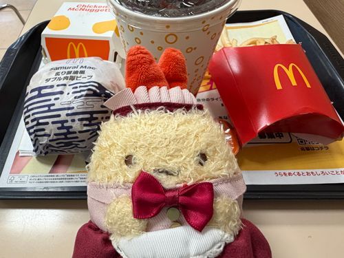 ごきげんよう。お嬢さんです。
今日は同居人とマック。てりたま気になるって言ってたのにいいの？