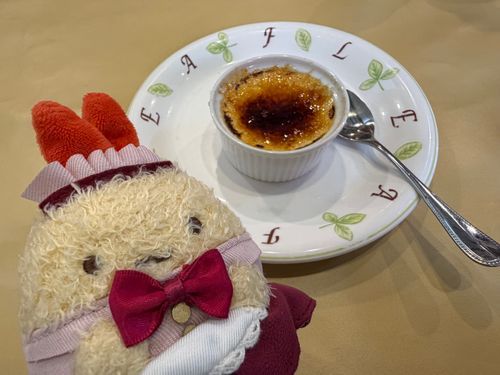 ごきげんよう。お嬢さんです。
クリームブリュレは同居人の大好物なの。わたしもすき。お家でも食べたいからガスバーナーがほしいな。🍮🔥
