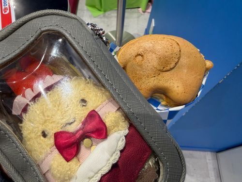 ごきげんよう。お嬢さんです。
どむぞうくん焼きを食べに行ったの。中身はあんこで、ふわもちな感じで美味しかったな。