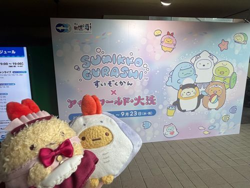 ごきげんよう。お嬢さんです。
エイままと一緒にアクアワールド・大洗に行ったの。海ってなんだか郷愁感あるなぁ。