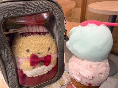 ごきげんよう。お嬢さんです。
ダイキュリーアイスを食べに行ったの。爽やかで結構好きなお味でした。