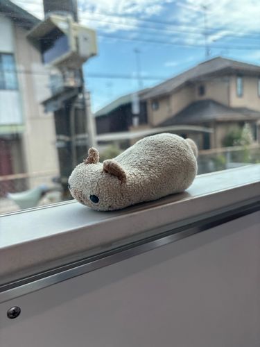 電車にのりましたよ(=^x^=)
