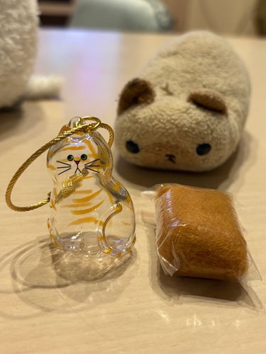 猫の毛を入れることのできるキーホルダーをいただきましたよ(=^x^=)
ニヤアはあんまり毛が抜けないので、同居猫のめいまの毛を入れようと思いましゅ😸