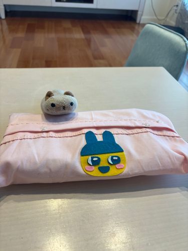 手作りのティッシュケースをゲットしましたよ(=^x^=)
お母さんが使うんでしゅって