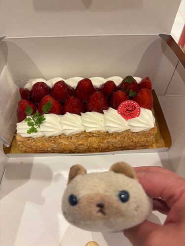 とても美味しいケーキをいただきました(=^x^=)
ニヤアももらって食べましたよ🍰